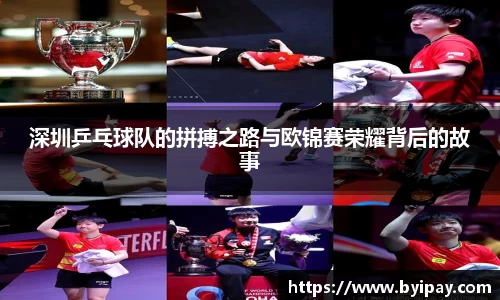 深圳乒乓球队的拼搏之路与欧锦赛荣耀背后的故事